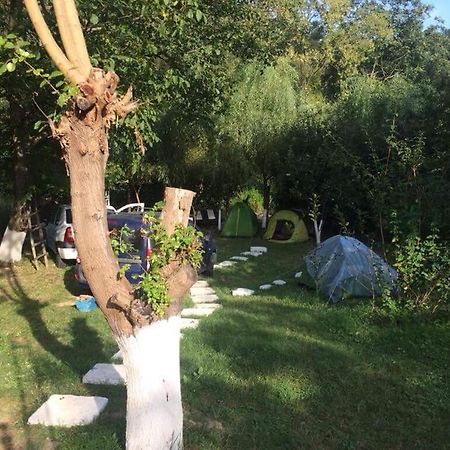 Camping in Clisura Dunarii Ieşelniţa Esterno foto