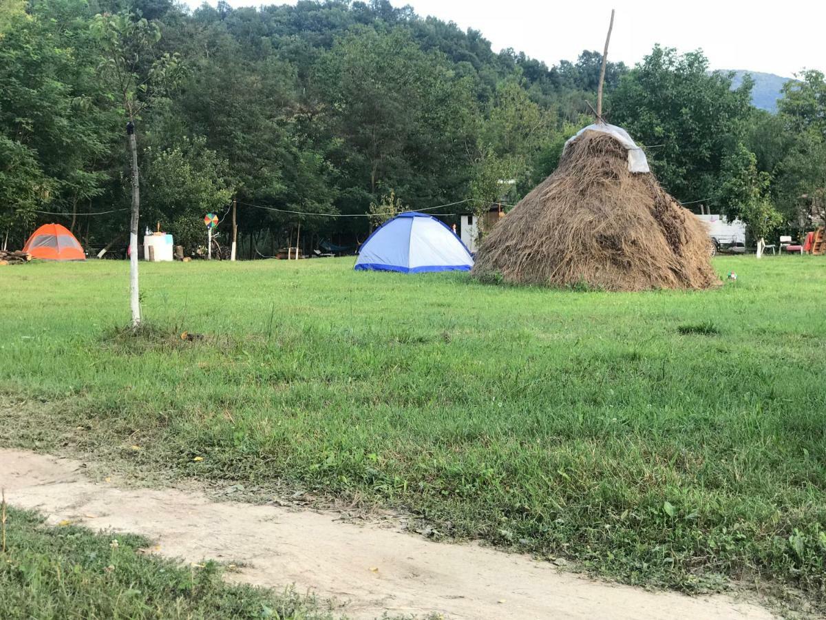 Camping in Clisura Dunarii Ieşelniţa Esterno foto