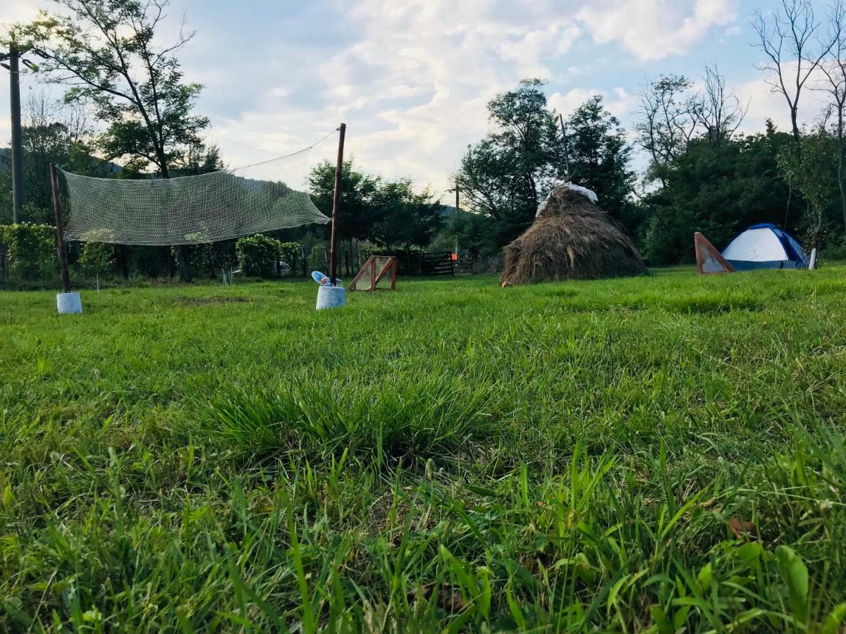 Camping in Clisura Dunarii Ieşelniţa Esterno foto