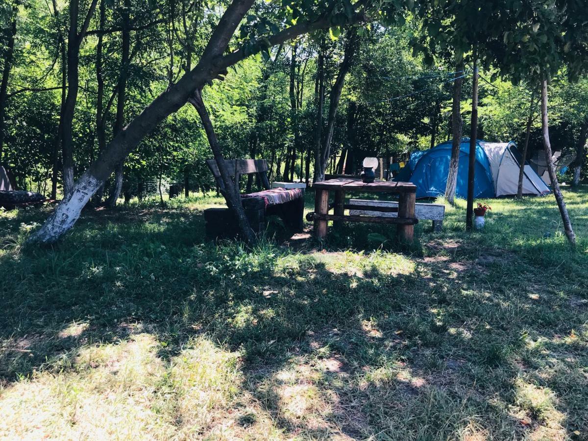 Camping in Clisura Dunarii Ieşelniţa Esterno foto