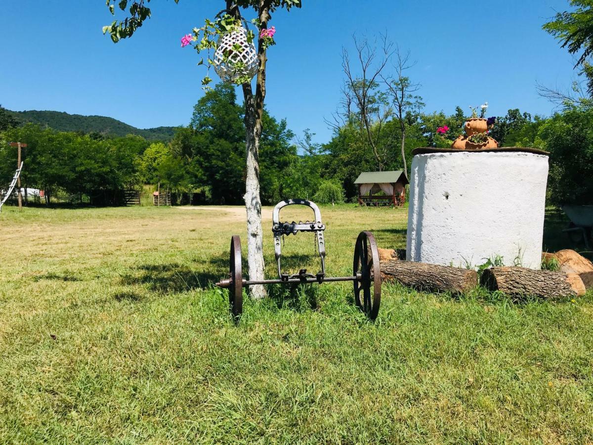 Camping in Clisura Dunarii Ieşelniţa Esterno foto