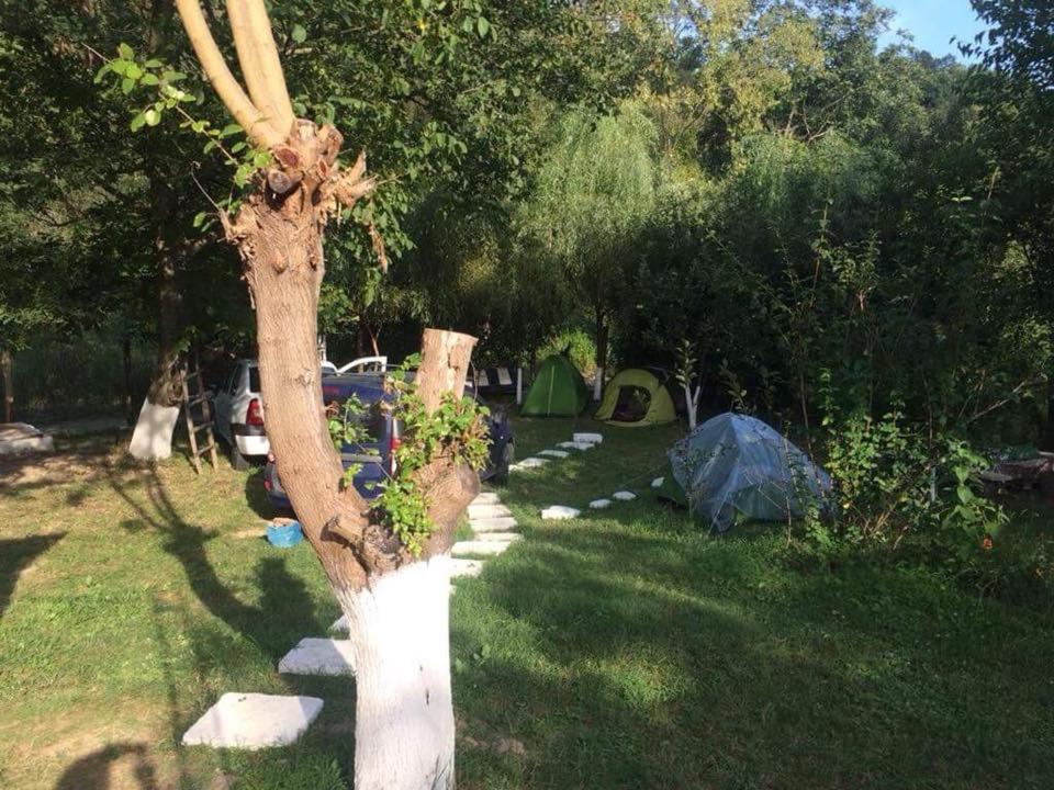 Camping in Clisura Dunarii Ieşelniţa Esterno foto