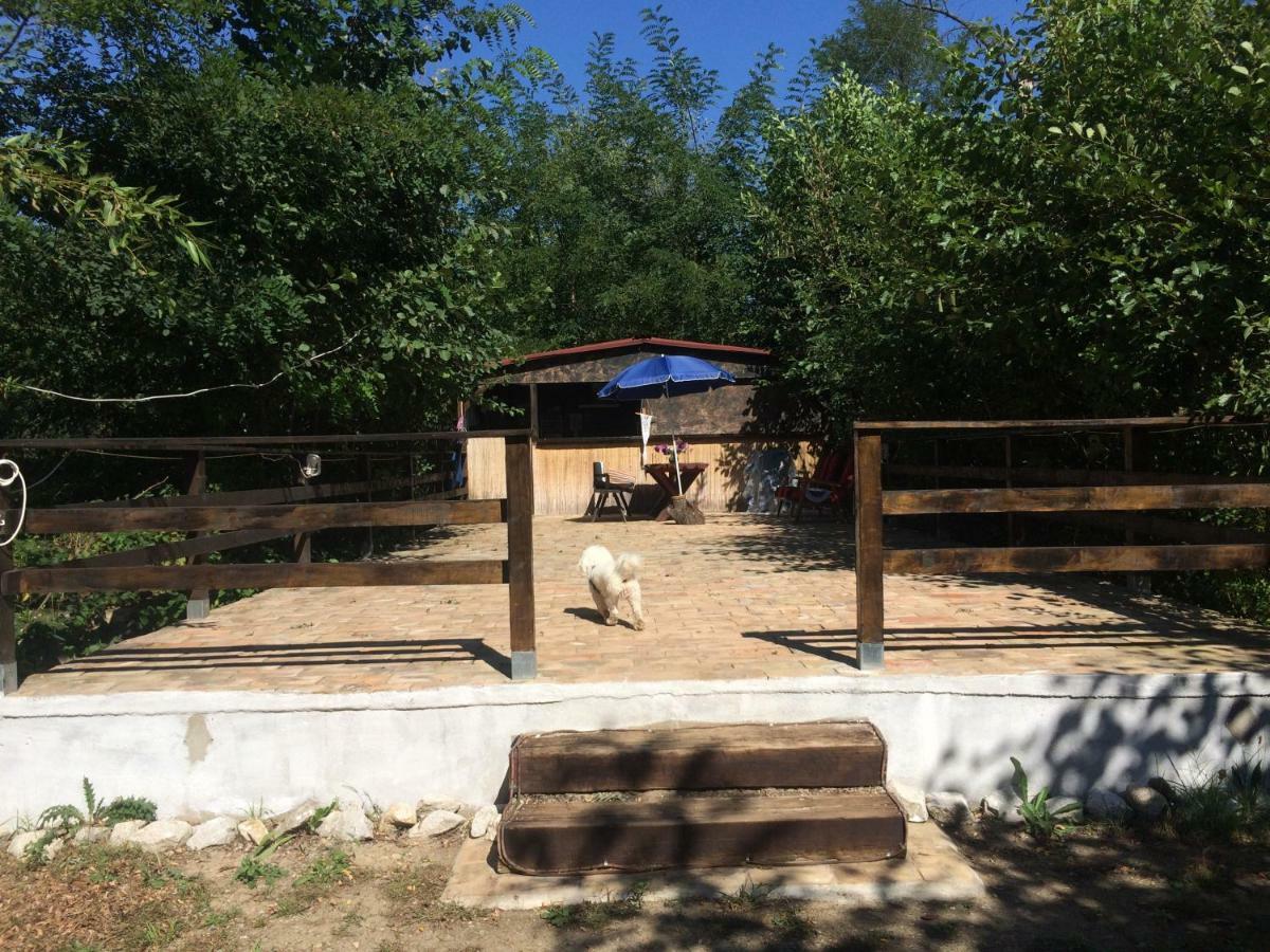 Camping in Clisura Dunarii Ieşelniţa Esterno foto