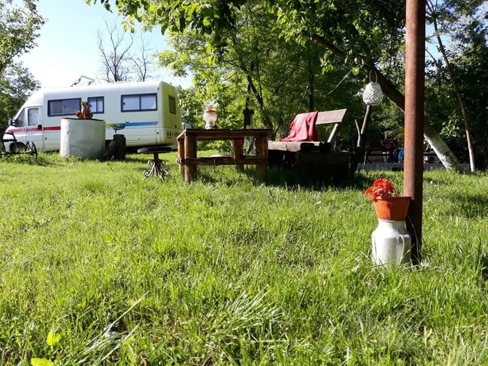 Camping in Clisura Dunarii Ieşelniţa Esterno foto