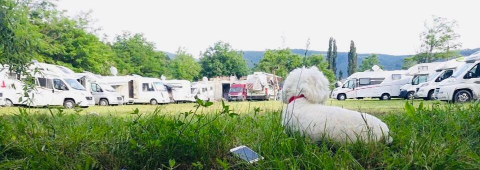 Camping in Clisura Dunarii Ieşelniţa Esterno foto